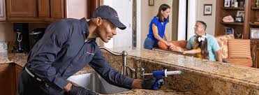 Trusted Mancos, CO Pest control Experts